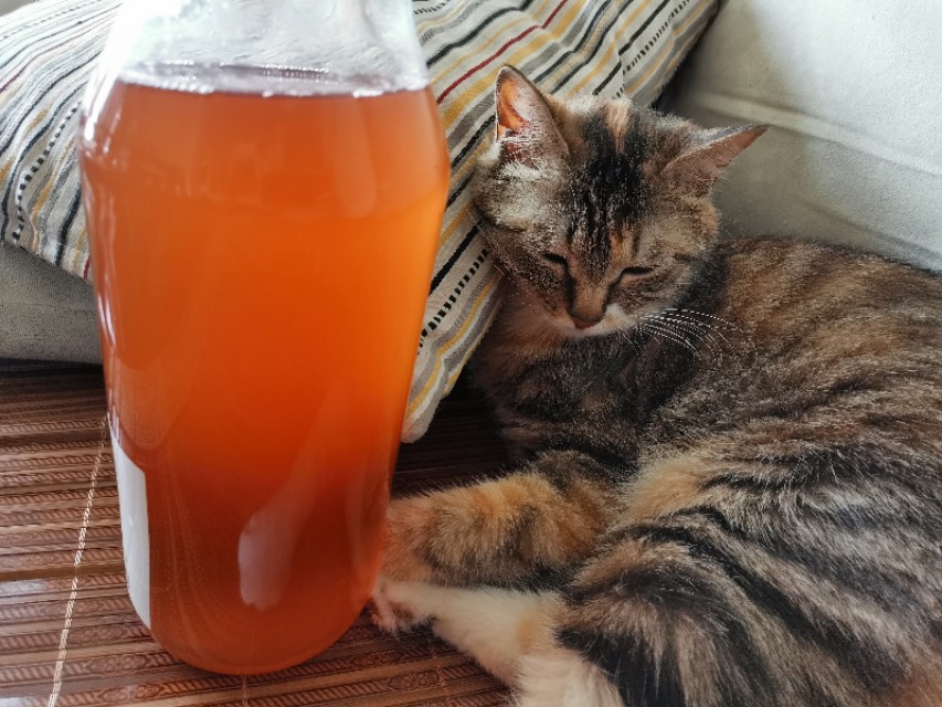 自制清凉解暑的汤喝,清凉解暑绿豆汤的做法抖音