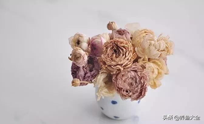 8种能做干花的鲜花，男朋友送的花就这么做