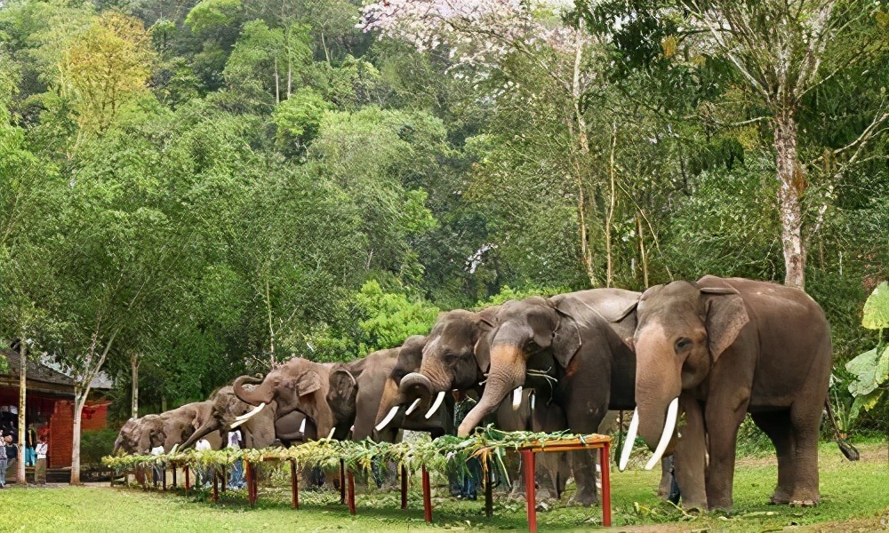 浜戝崡鏅椽榛庢槑涔嬪煄鍥剧墖,鏅椽榛庢槑涔嬪煄鍘嗗彶
