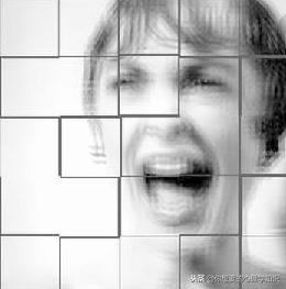 歇斯底里面有什么含义,歇斯底里是什么动物