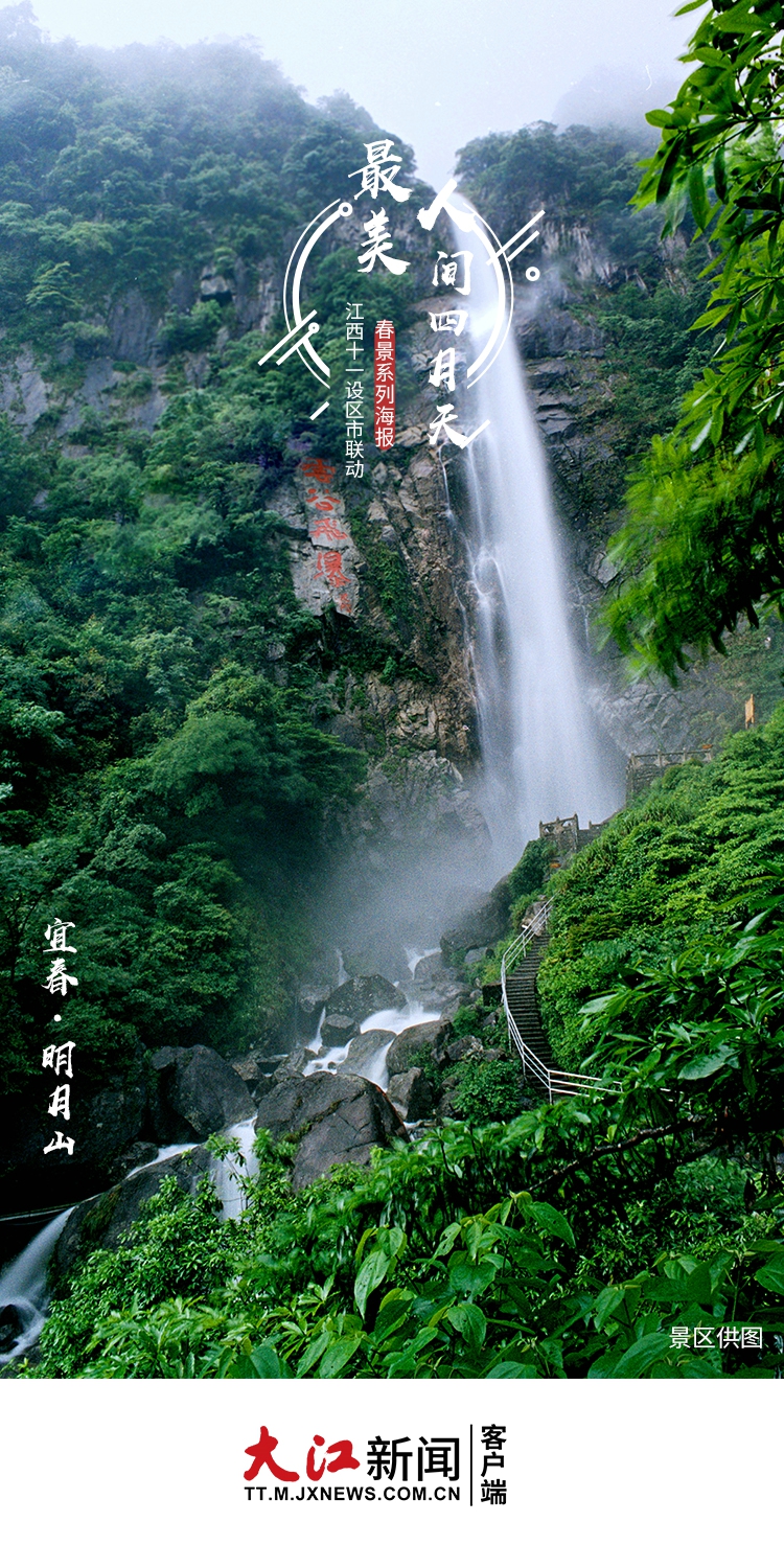 春色满园美景照,春色满屏樱花绽放