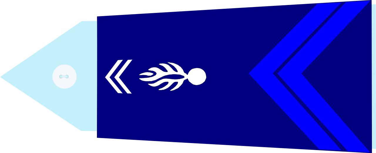 法国将军军衔等级,法国上校是什么军衔