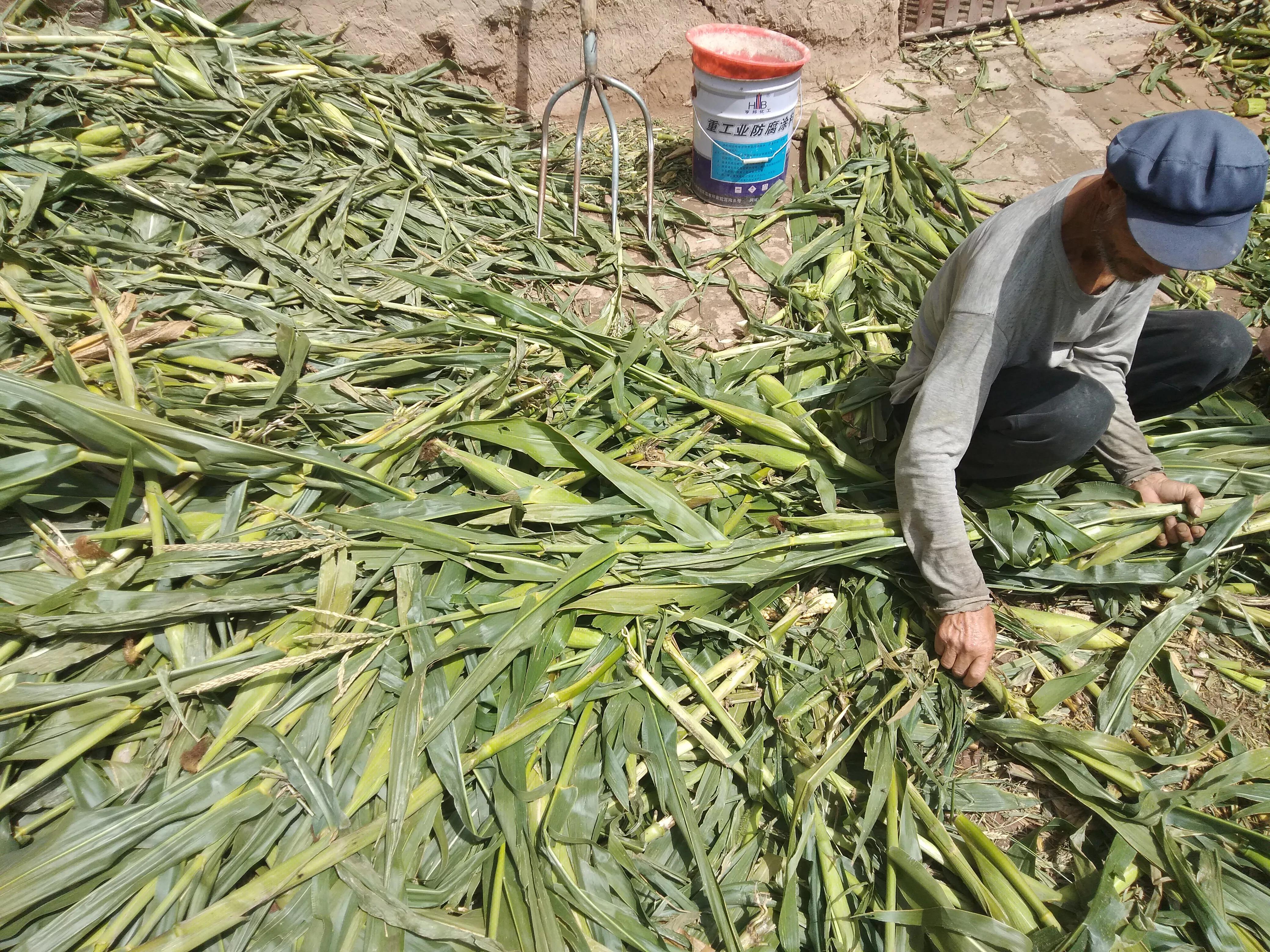 再谈赚钱和生活,再谈年收益