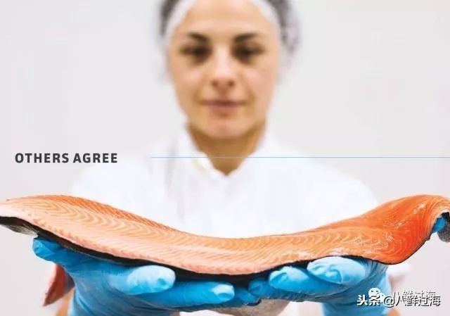 引入活青口贝、鲜帝王鲑,新西兰海产出口商的新生力量!