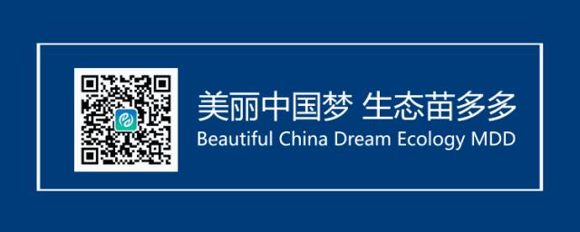 苗木行业机遇分析,园林行业上市公司发展现状