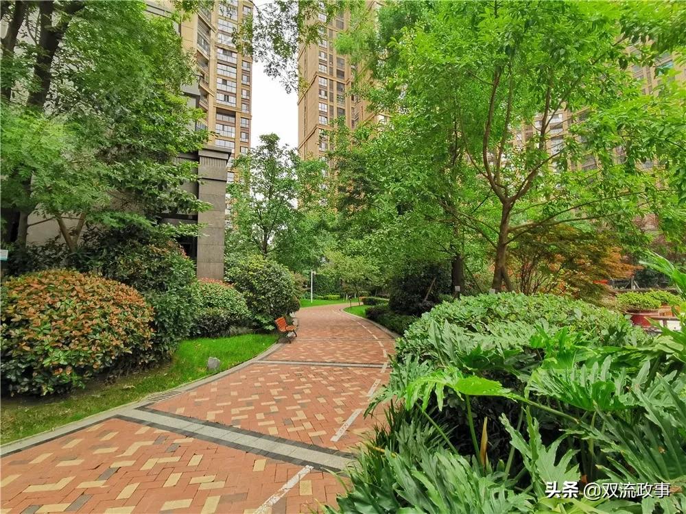 成都双流怎样,你怎么那么绿是什么梗