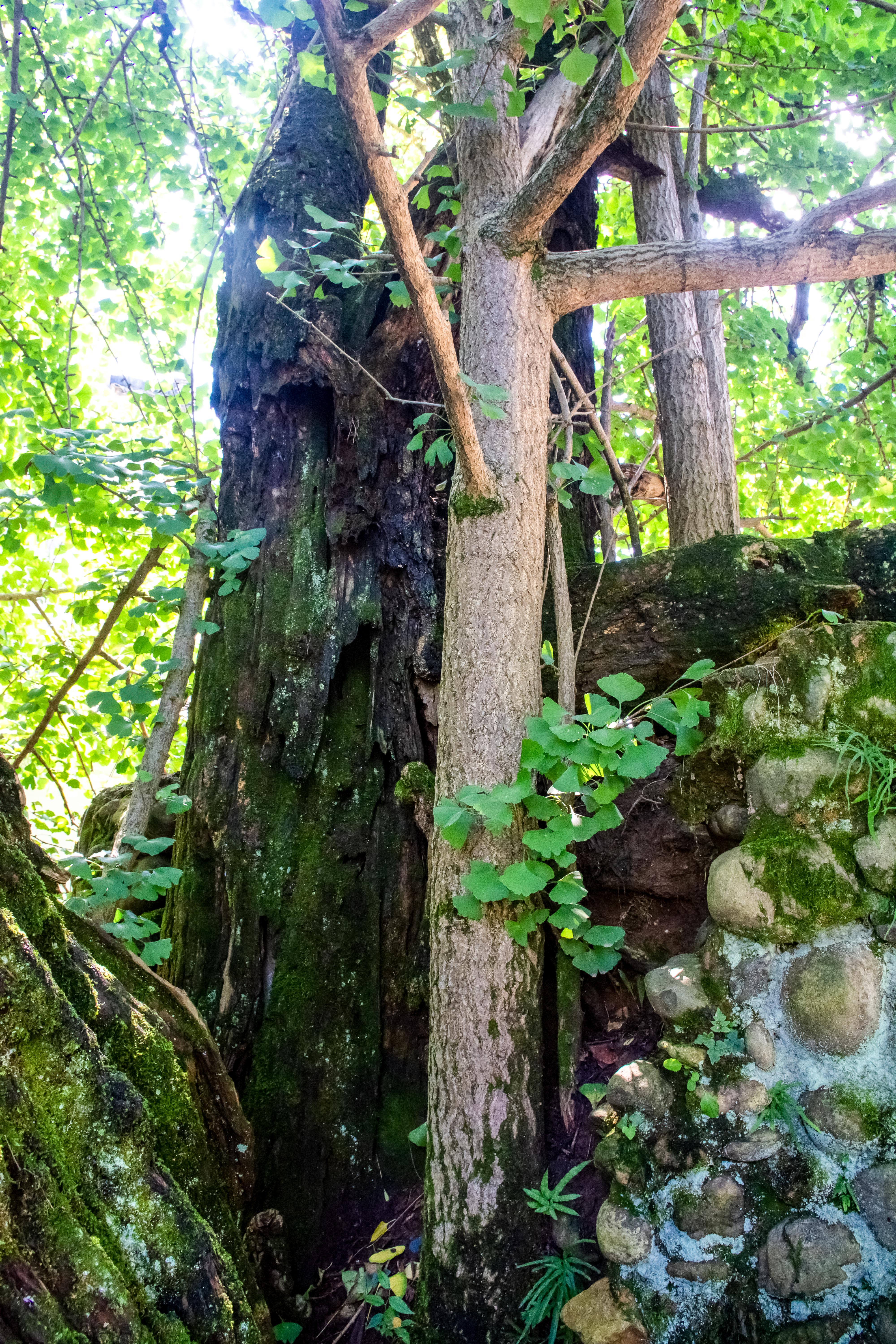 千年古村落唐模村,千年古村唐模
