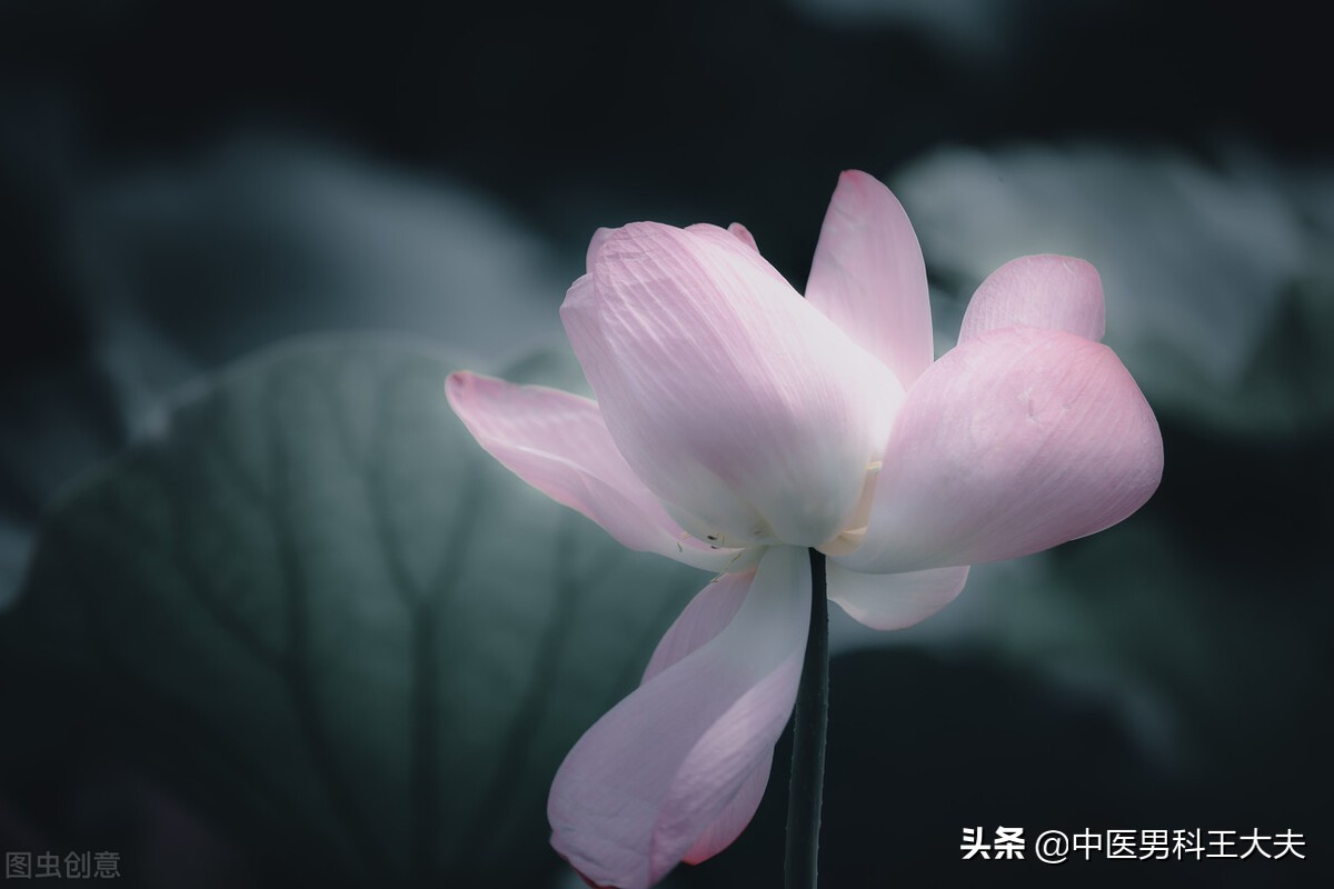 久思伤脾吃什么中药,久思伤脾的最佳调理方法