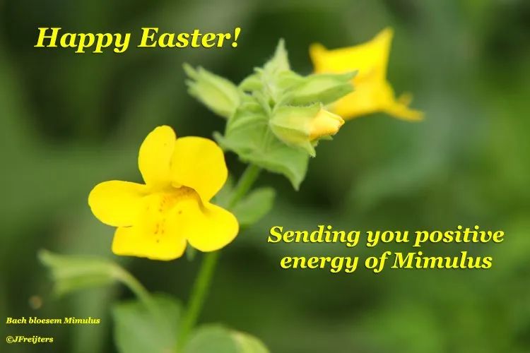 512地震医护急救图片,512地震后心理疏导