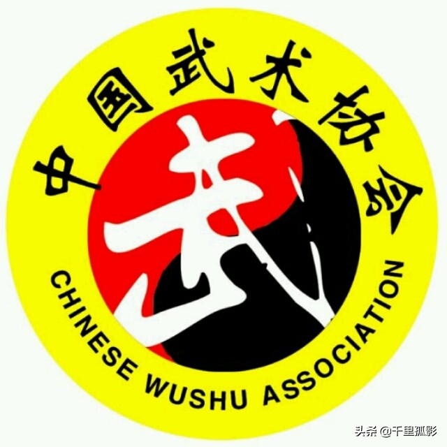 散打详解,散打总结如何写