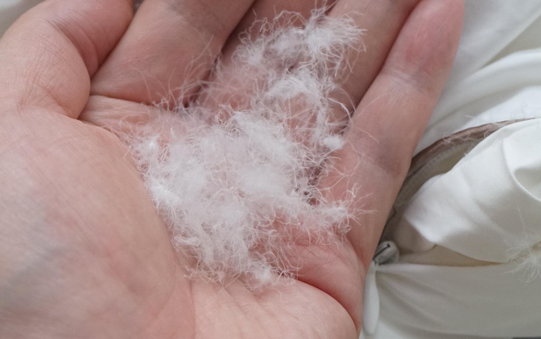 鹅绒被是冬季必备的神器,四季都能盖的鹅绒被