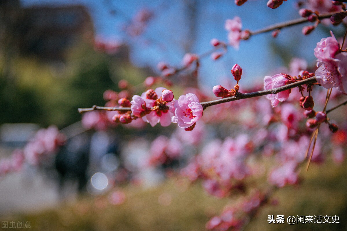 苏轼的诗更多不太讲求押韵,苏轼借用典故的词