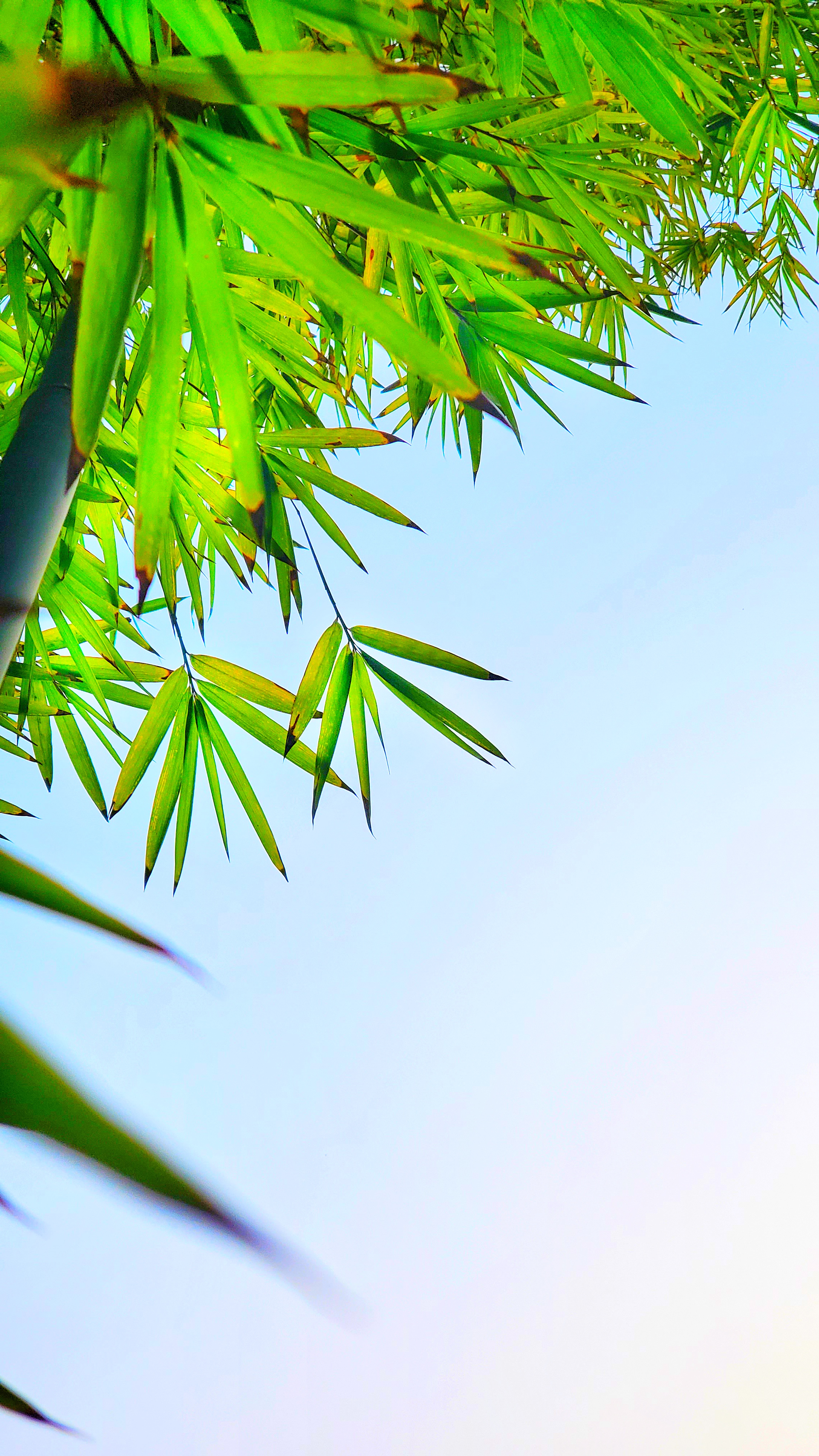 和春住。带着小神兽去踏青