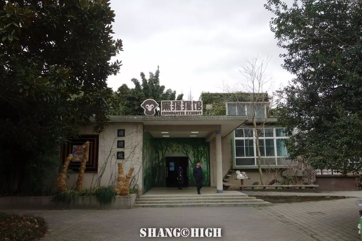 记者探访广州动物园,动物园观察动物