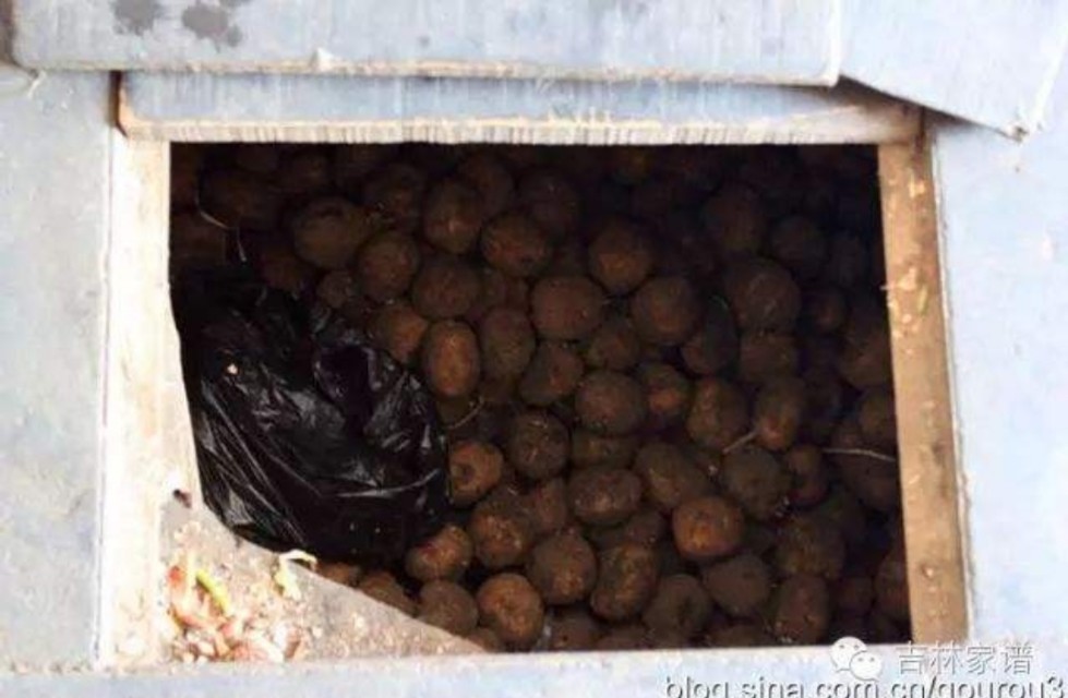 被困在地窖的母亲,乌克兰母亲爬出地窖