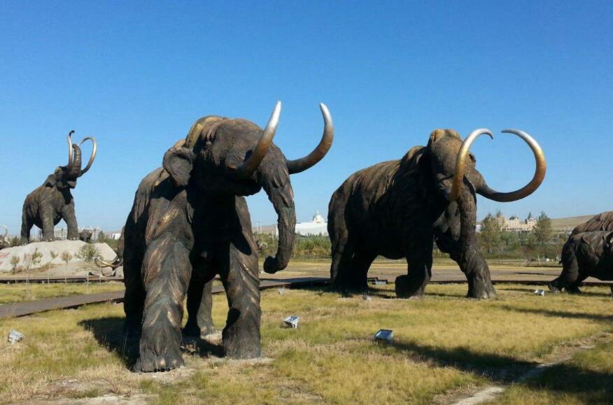 用猛犸象的基因能复活猛犸象吗,猛犸象灭绝原因可能是进化吗