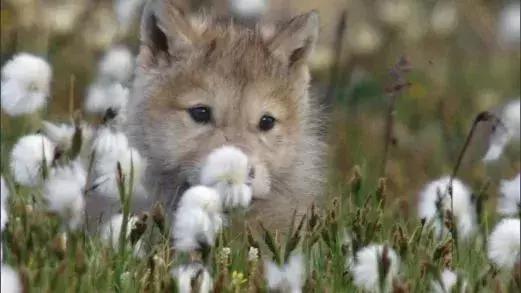 长春家长都领着孩子在干这件事儿,你没做,就落后了!