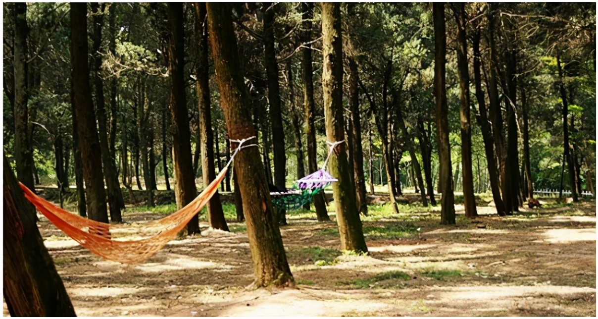 湖北武汉东湖海洋乐园,湖北武汉东湖风景区简介