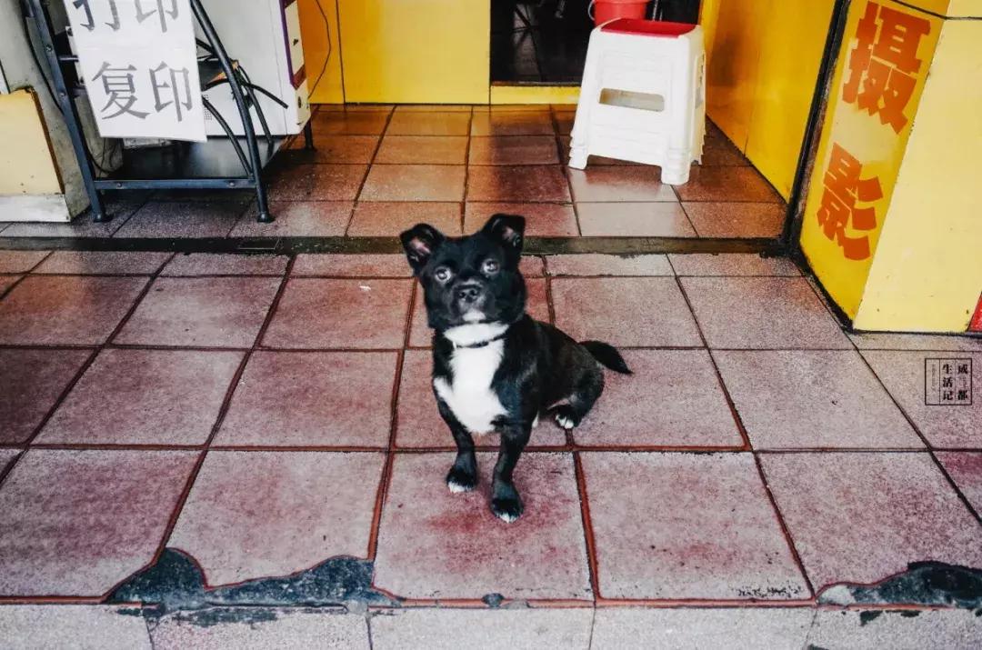 荷花池菜市场必吃美食攻略,荷花池美食一条街