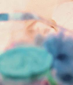 春天里，猫咪需要“三防一管”