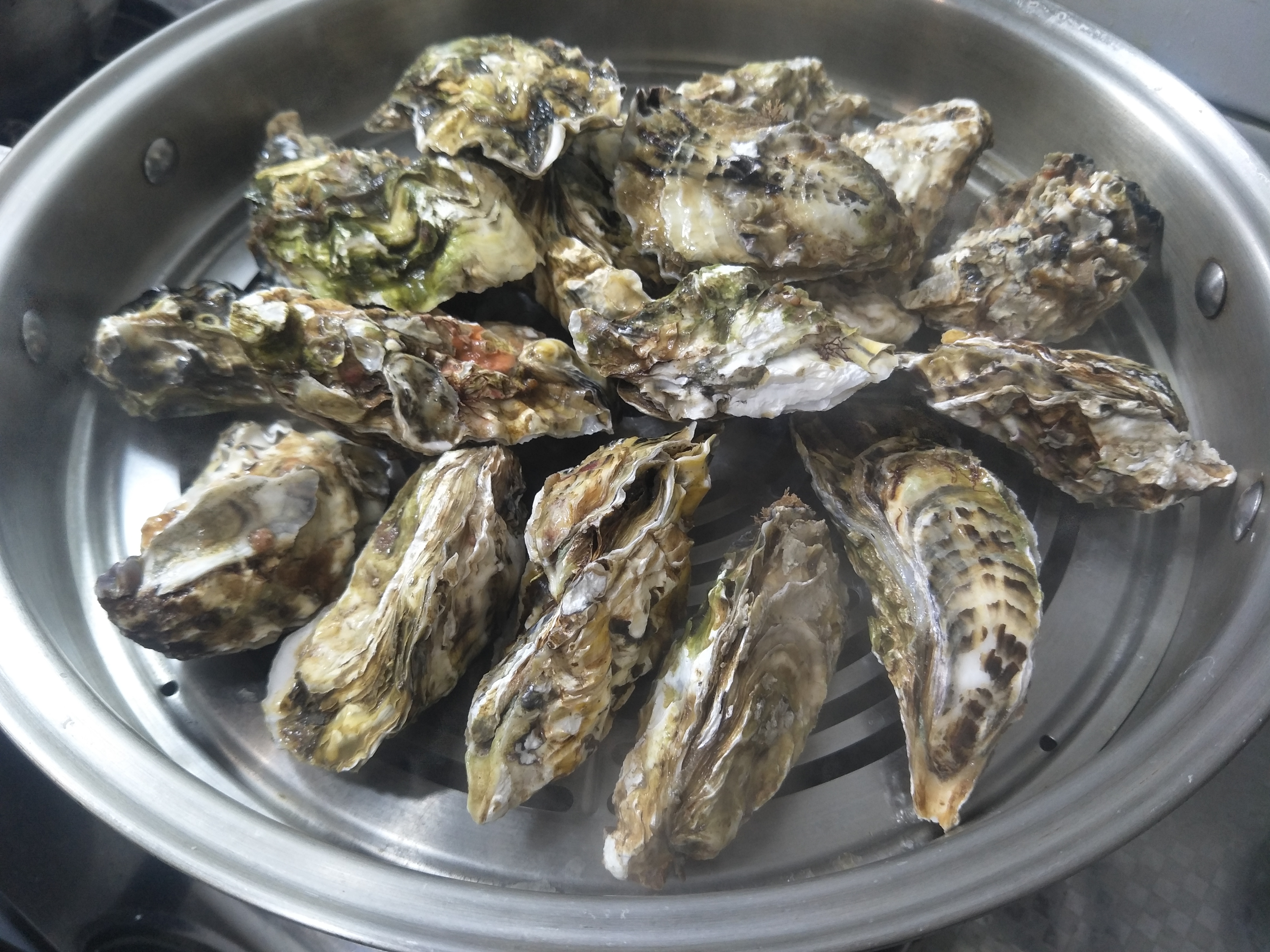 蒸生蚝冷水下锅还是热水,蒸生蚝和扇贝用冷水还是开水