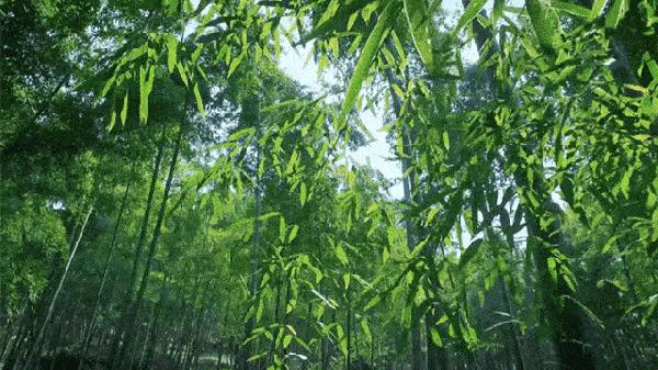 奥地利设计师操刀~热门综艺取景地，这里藏着你的冬日梦想