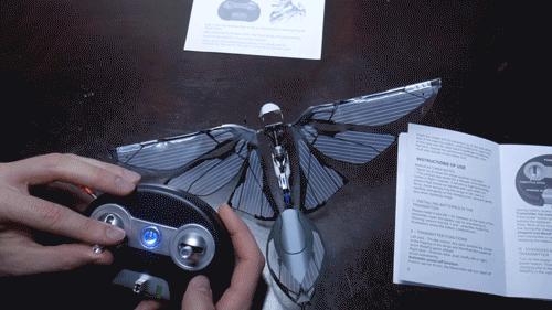 仿生鸟扑翼无人机,法国遥控仿生昆虫