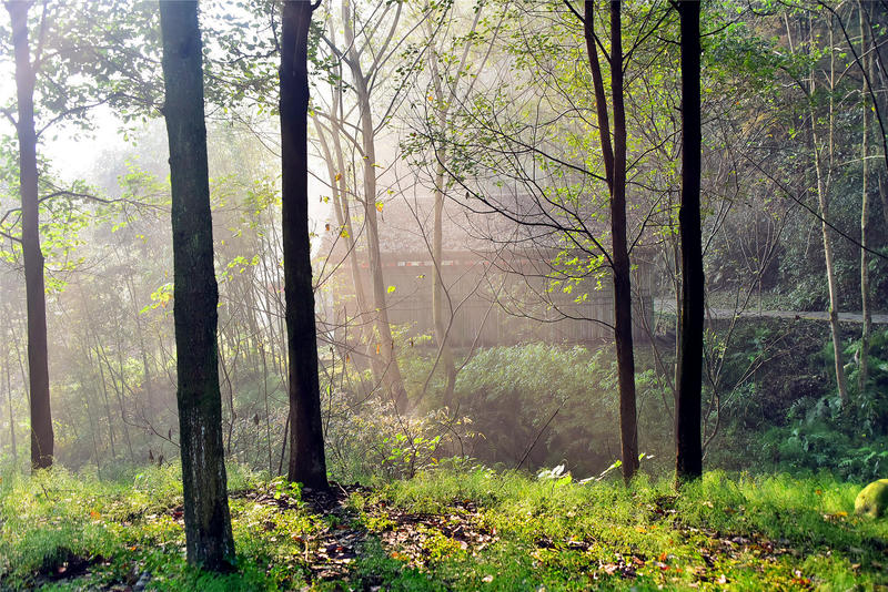 置身于童话中的九寨沟,畅游人间仙境黄龙九寨沟七日游