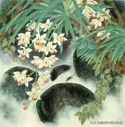 古人幽默古诗,趣味古诗跟读