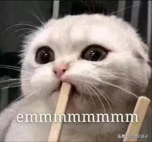 这剧拍出来是为了洗白影版的吗？