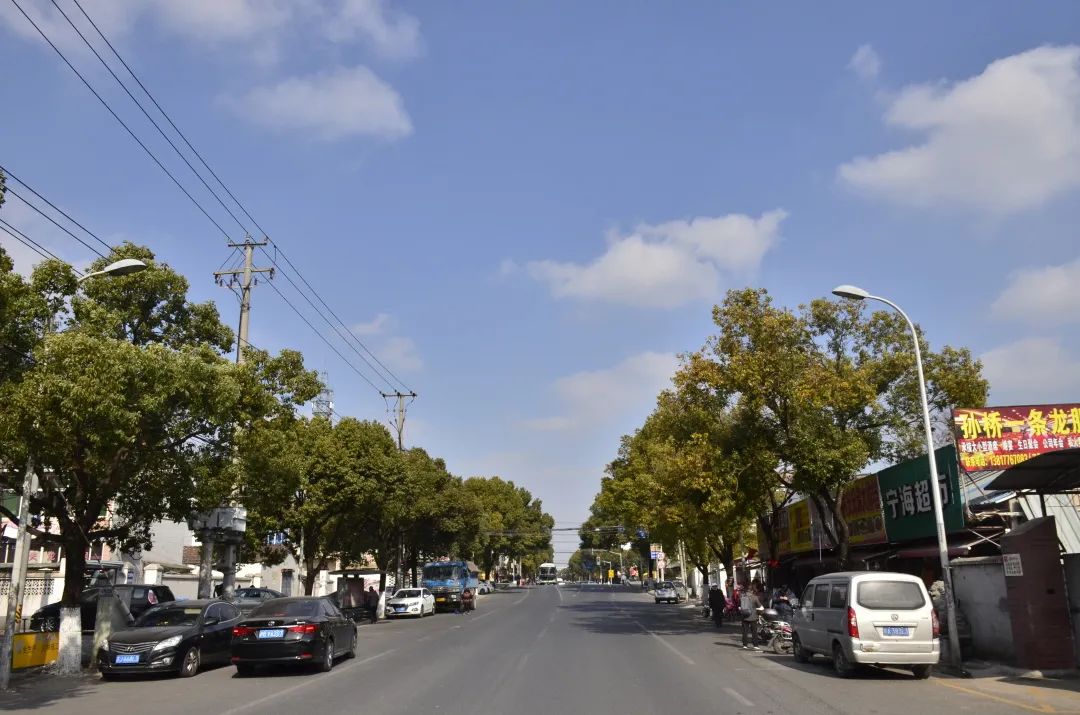 孙侨潞到底最后怎么样了,孙桥为什么发展慢