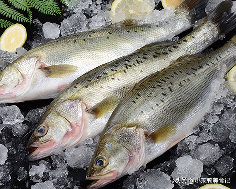 怎么区别海鲈鱼和淡水鲈鱼,买鲈鱼公的好吃还是母的好吃