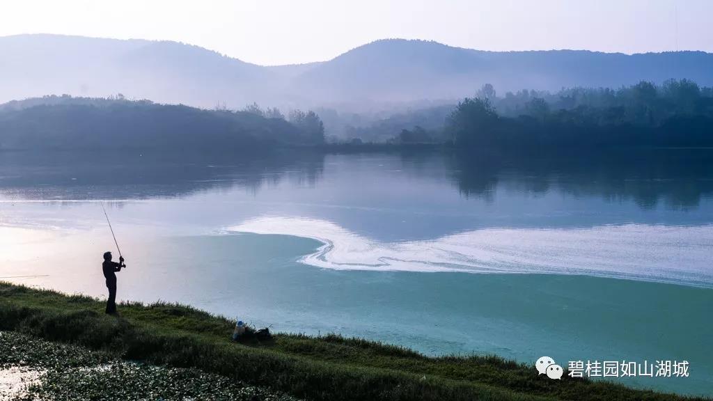 碧桂园体育公园武术大会,碧桂园文化艺术节