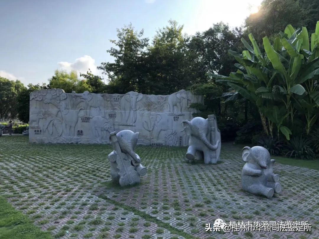 嗅觉鉴定属于法医鉴定吗,嗅觉丧失法医怎么鉴定