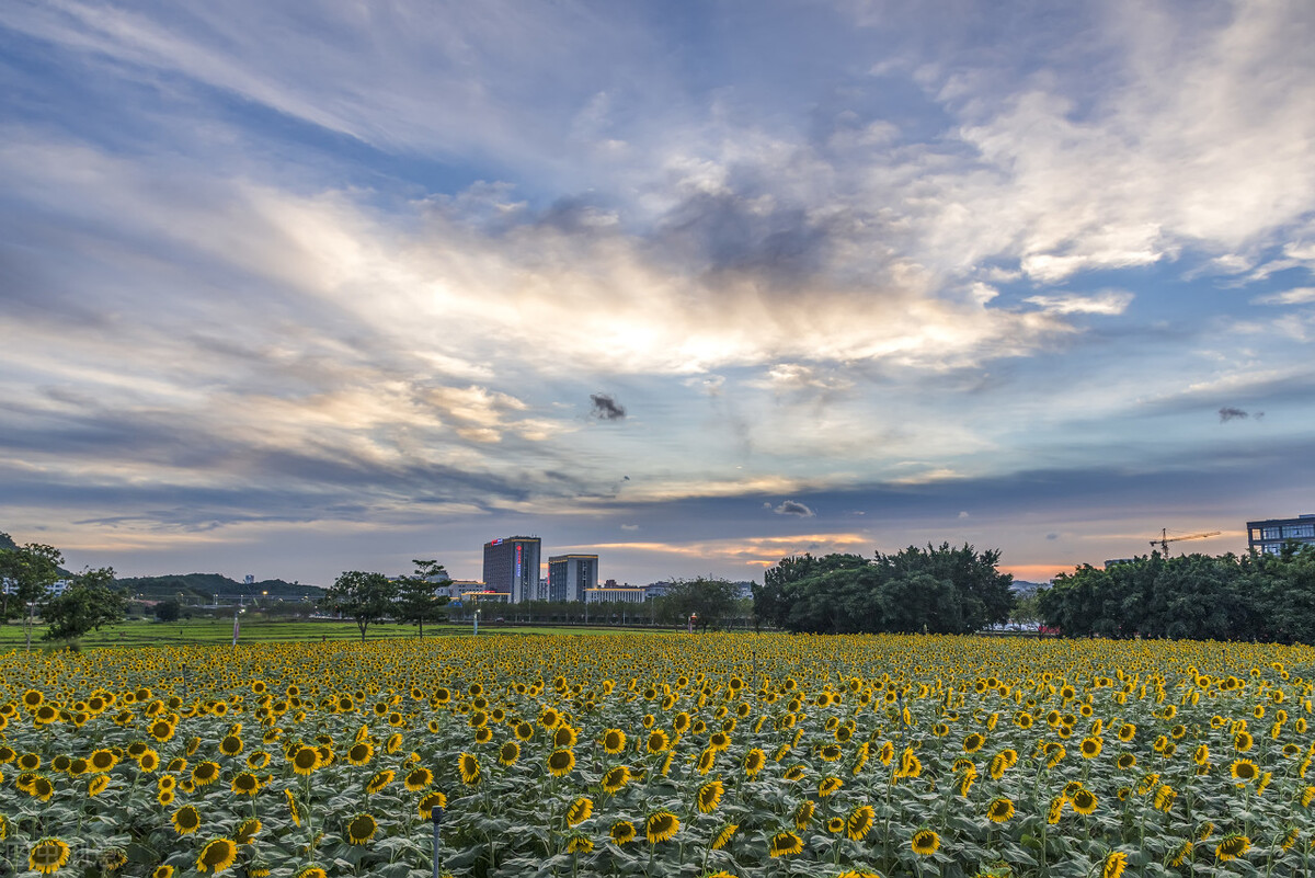 受到别人诋毁贬损怎么办,受到诋毁该怎么办