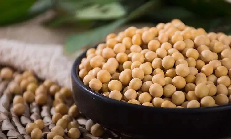 配上一杯豆浆一家人的早餐都搞定,适合一家人喝的早餐豆浆食谱