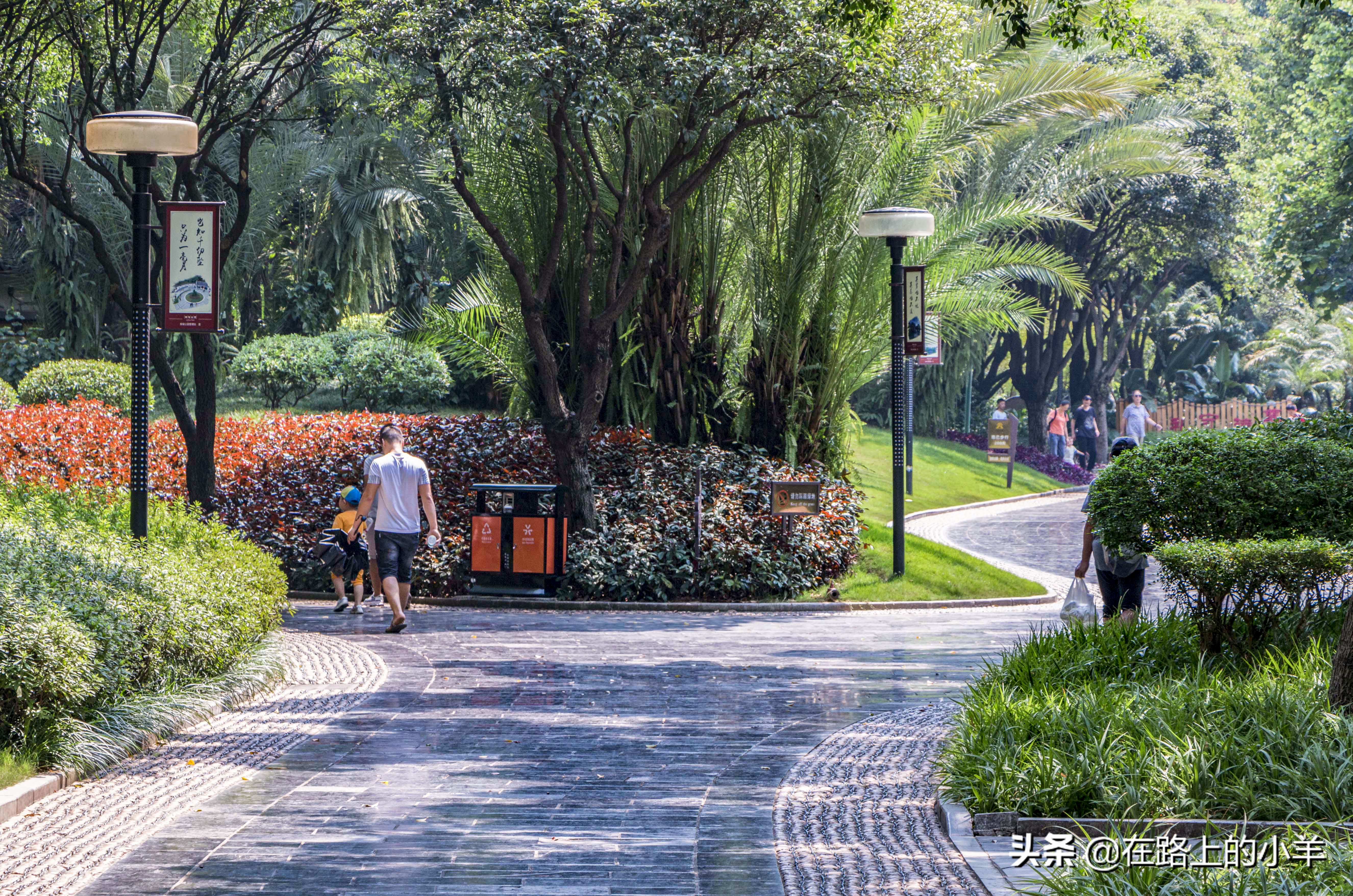 柳州公园游览攻略,柳州国家森林公园攻略