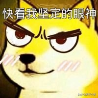 牙周病不能治好的吗,牙周病不治疗后果