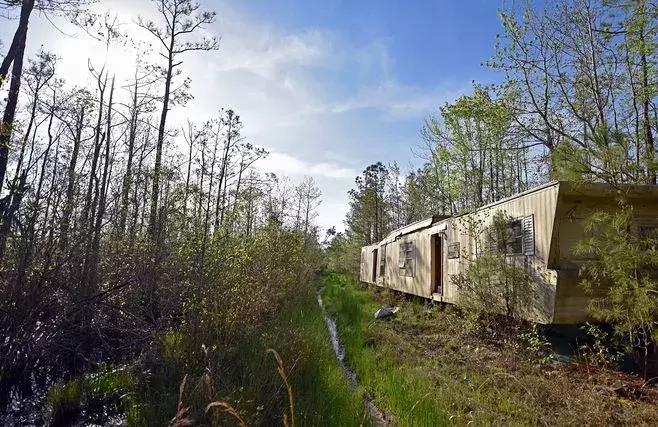 与熊同居28年后神秘死亡，这个女人传奇的一生，隐藏着惊人结局……