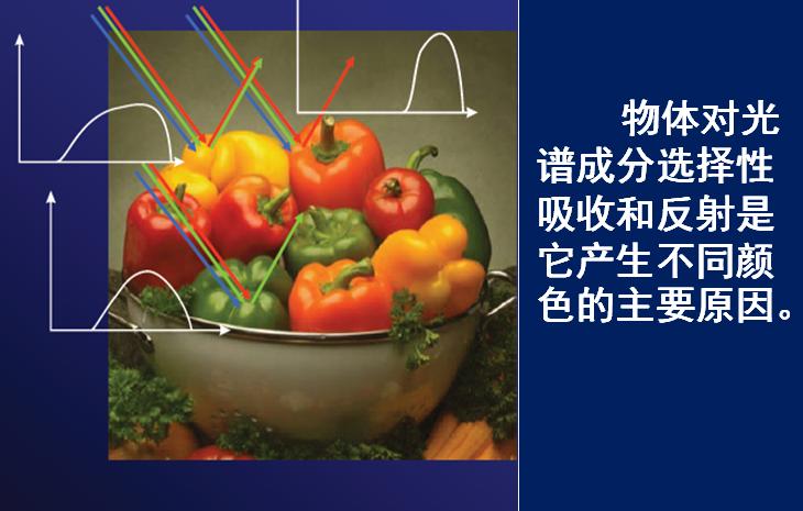 photoshop初学者视频教程,photoshopcs5视频教程全集