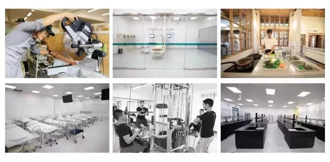 四川国际标榜学院的王牌专业,四川国际标榜职业学院网红