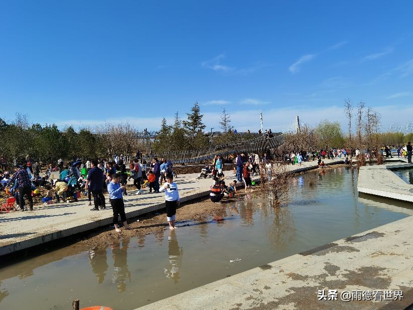 河南郑州蝶湖公园,打卡郑州网红蝶湖森林公园