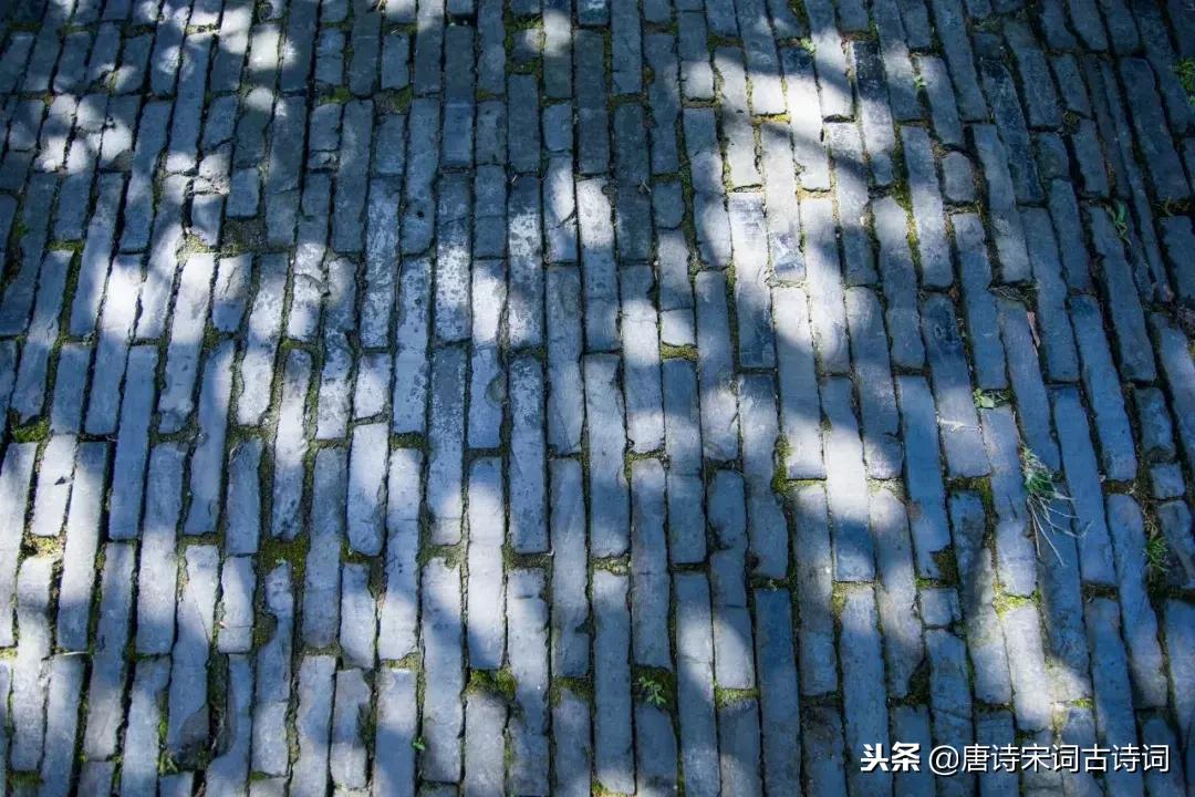 这些经典古诗词一开头就让人惊艳,经典古诗词开场