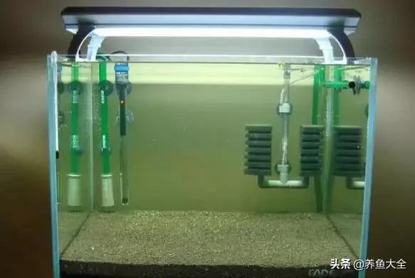 虾爆缸怎么办,极火虾怎么快速爆缸