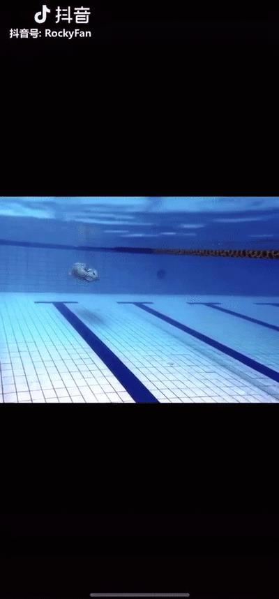 初学游泳有游泳圈,初学游泳浮起来了游不走