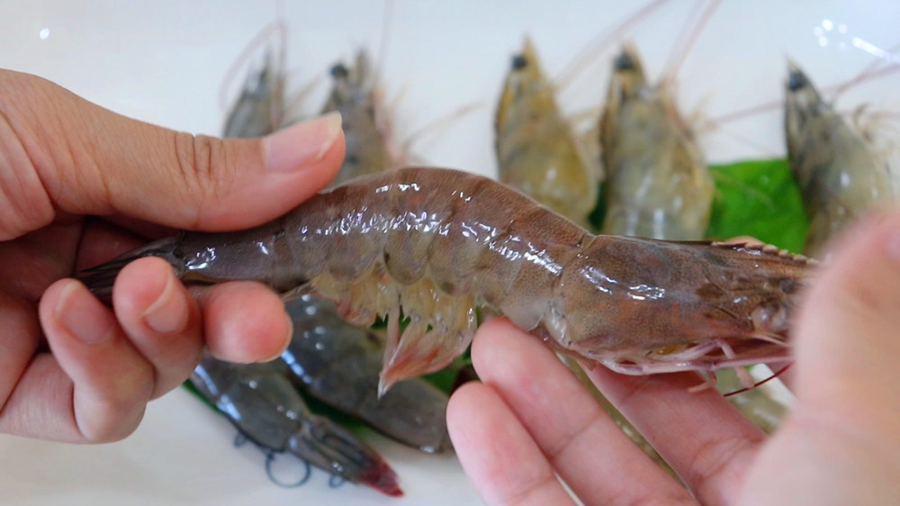 超市卖的冻鲜虾是河虾还是海虾,卖的虾和冻虾怎么区别