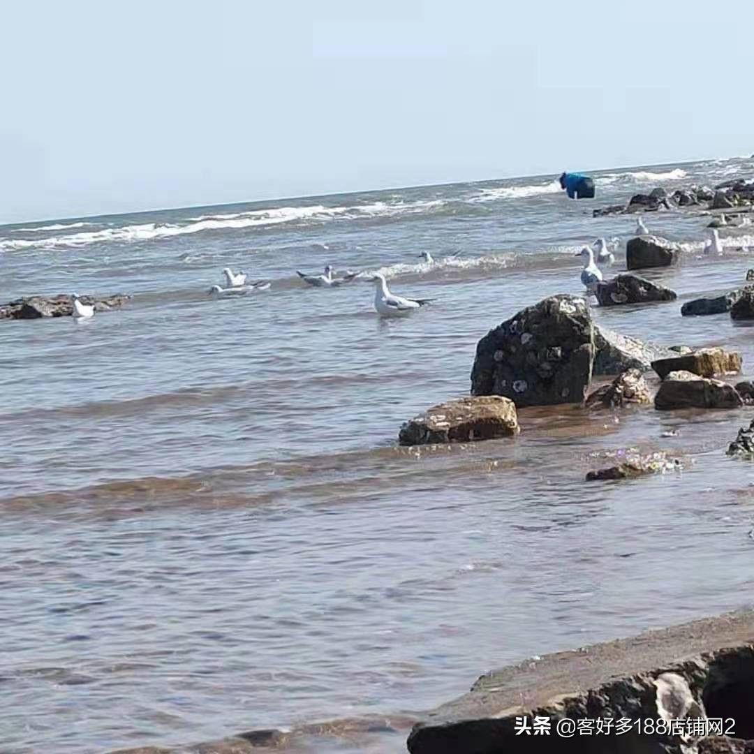 南戴河鹏博宾馆,北戴河梅艳宾馆