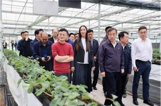 马云原来的样子和现在的样子,真实的马云现状和经历