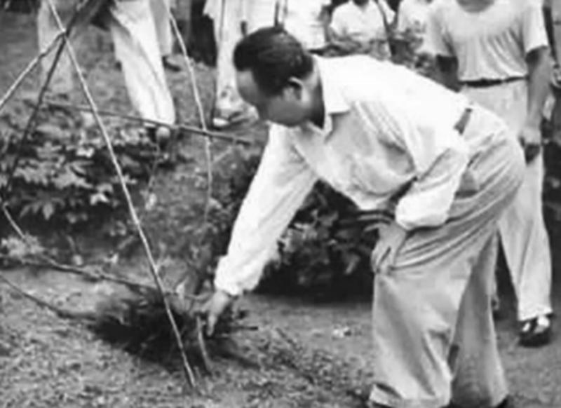 毛*东泽**时隔32年重回韶山,看到父母坟墓破烂不堪:不要修,就这样