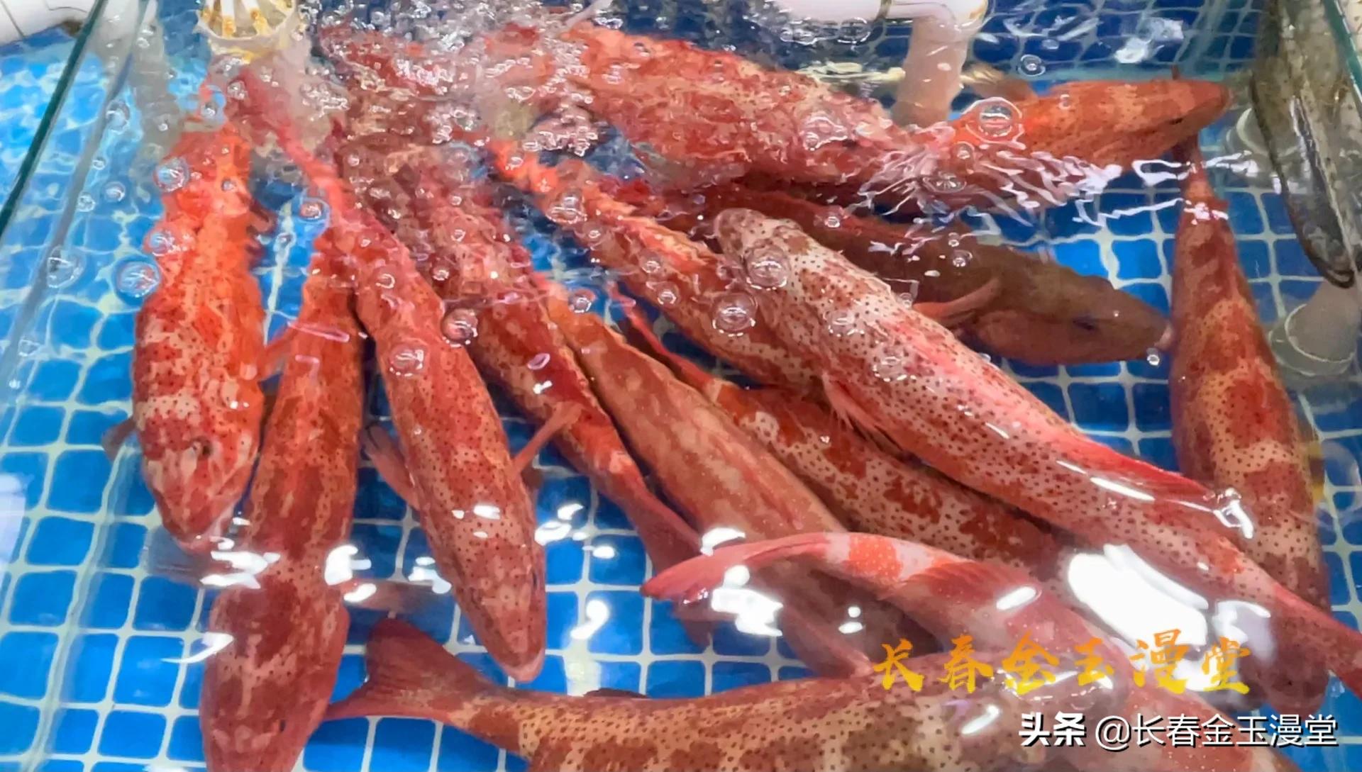 2022长春年货大集,2020长春年货展销会在哪